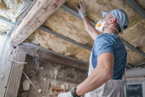 Best DIY Insulation Kits and Guidance in Newport, SC