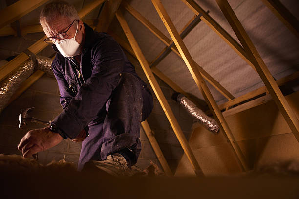 Best Commercial Insulation in Newport, SC